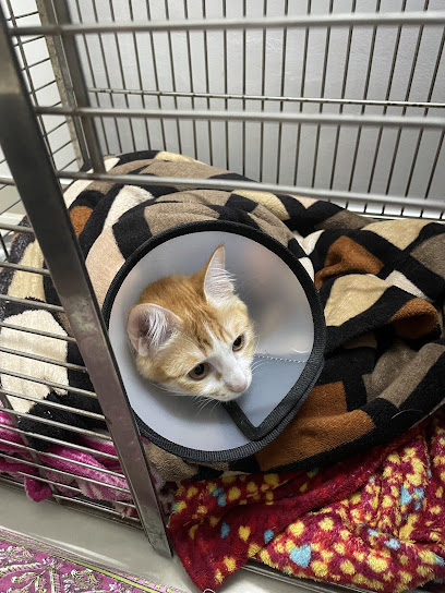 Addus Pet Care Clinic